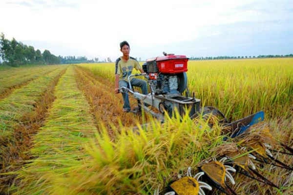 Không dễ hỗ trợ tích tụ đất đai