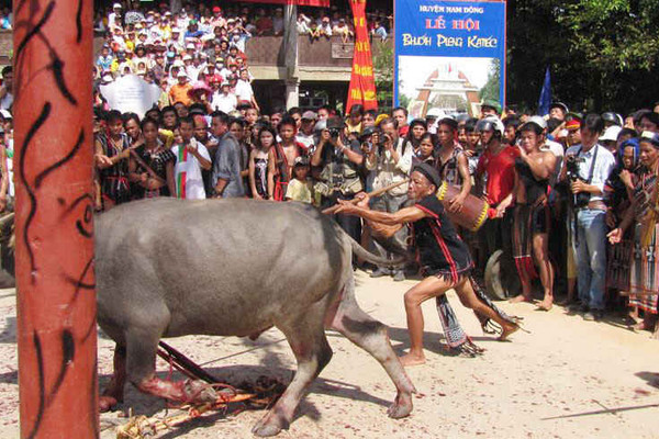 Thừa Thiên Huế: Xã nghèo thu 300.000 đồng đóng tiền lễ hội đâm trâu, dân bức xúc