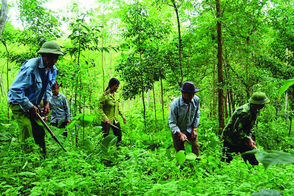 Lâm Đồng rà soát tình hình đất sản xuất của 246 hộ dân thiếu đất
