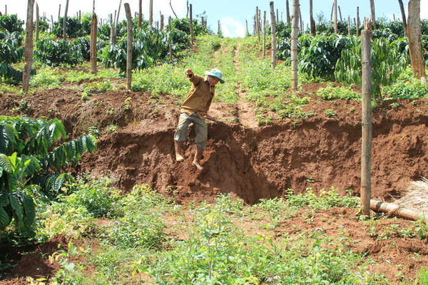 Đắk Nông: Đất nông nghiệp của dân giáp hồ bùn đỏ tiếp tục bị sụt lún