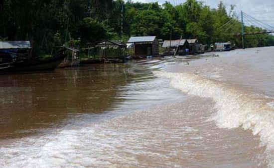 Cảnh báo, mực nước sông Cửu Long sẽ lên nhanh trong những ngày tới