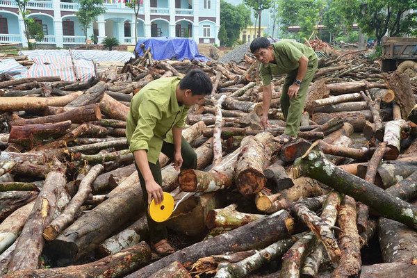 Xã Long Sơn (Hòa Bình): Trưởng thôn phá rừng