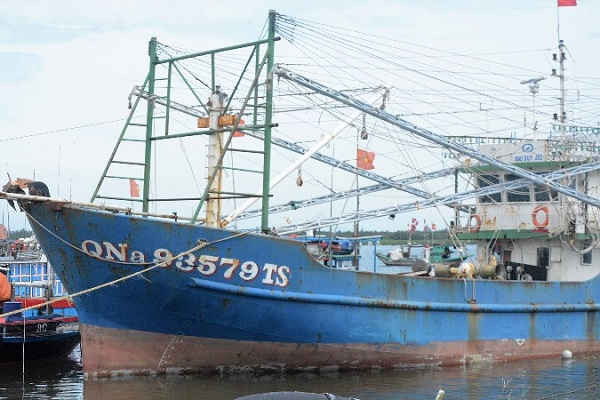 Quảng Nam: Tổ chức lại nghề cá để phát triển bền vững