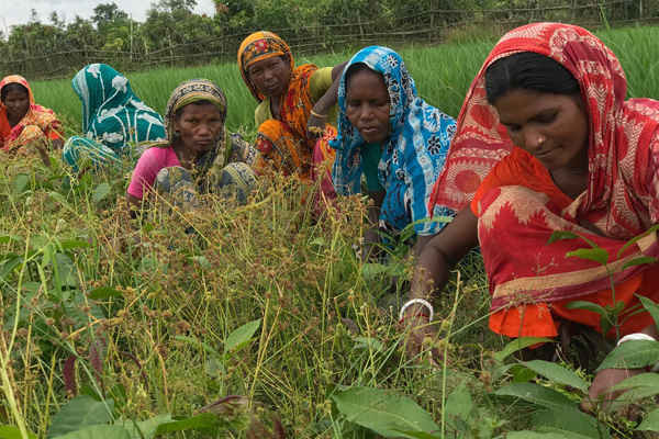 BĐKH dẫn đến lao động lệ thuộc tại Bangladesh