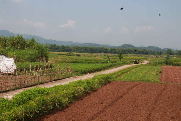 Yên Bái: Người dân cần cân nhắc khi sử dụng nước sông Thao