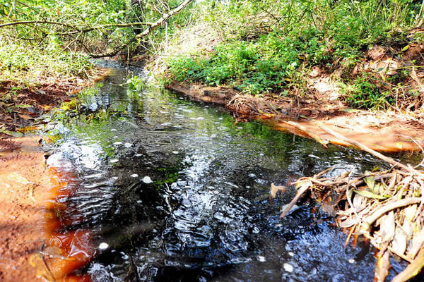 Pleiku (Gia Lai): Nước thải “nguy hại” trực tiếp đổ ra suối?