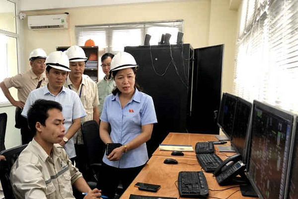 Quảng Ninh: Thực hiện hiệu quả Chỉ thị 25 về bảo vệ môi trường