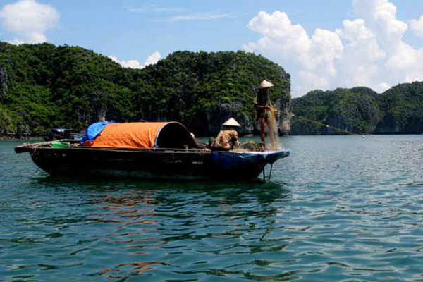 Quảng Ninh: Cấm khai thác thủy sản trong vùng Di sản vịnh Hạ Long