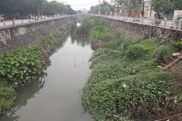 Nghệ An: Kênh Bắc mới đầu tư nâng cấp đã bị bồi lấp, ô nhiễm