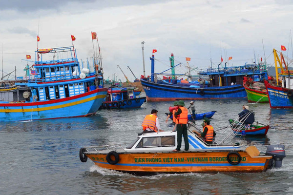 Phát triển kinh tế biển gắn với đảm bảo quốc phòng - an ninh tại Bình Định: Gặt hái được thành tựu nổi bật