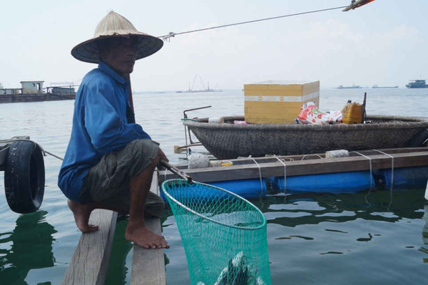 Quảng Ngãi: Cá nuôi lồng bè chết hàng loạt nghi do ô nhiễm