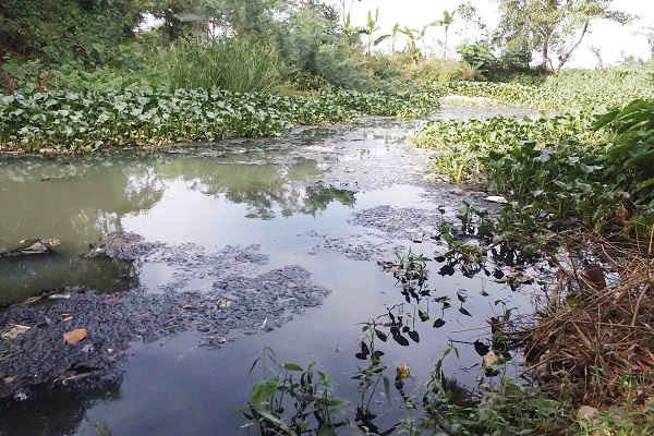 Thừa Thiên - Huế: Kênh thoát lũ tràn ngập rác, bốc mùi nặng... gây ô nhiễm