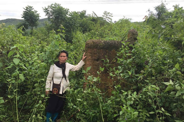 Quảng Ninh: Đất đang canh tác bỗng dưng giao cho người khác