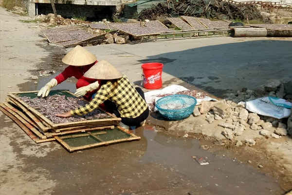 Thị xã Hoàng Mai (Nghệ An): Nhức nhối ô nhiễm tại cảng cá Quỳnh Lập