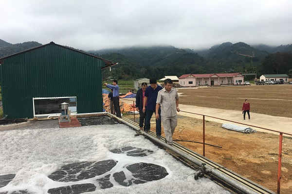Sơn La: Siết chặt bảo vệ môi trường, xử lý nước thải tại các cơ sở cà phê