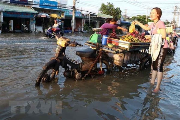 Chủ động ứng phó với triều cường ở ĐBSCL, vùng áp thấp trên Biển Đông