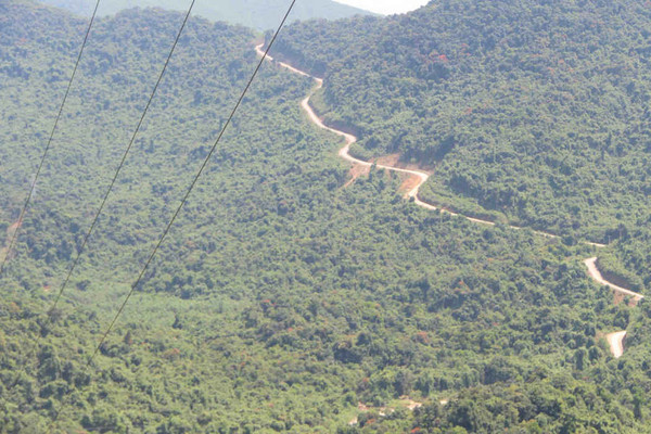 Thừa Thiên Huế: Bảo vệ, phát triển rừng bền vững