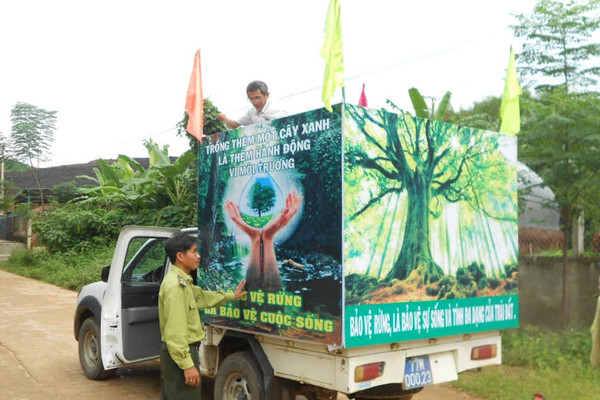 Hoài Ân (Bình Định): Giảm thiểu tình trạng vi phạm Luật Bảo vệ - phát triển rừng