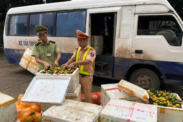 Quảng Ninh: Bắt đối tượng vận chuyển trái phép gần 1,4 tấn hoa quả