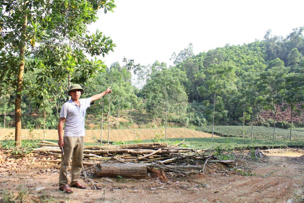Thái Nguyên: Cấp đất trồng rừng cho doanh nghiệp chồng lấn lên đất của dân ở Đồng Hỷ