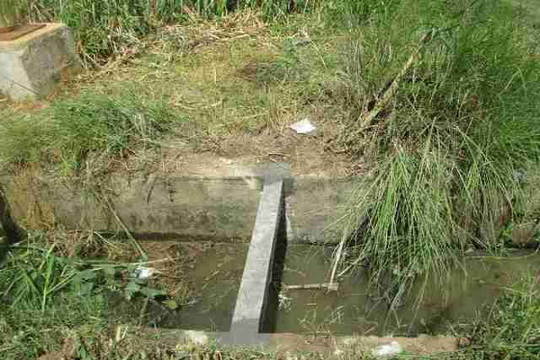 Bình Định: Kết quả kiểm tra thanh giằng bằng bê tông cốt gỗ kênh S8 xã Phước Quang
