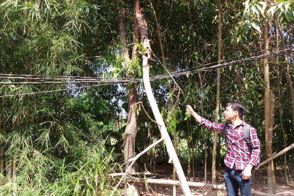 Thừa Thiên Huế: Dân bất an vì đường dây điện “treo” hơn 20 năm