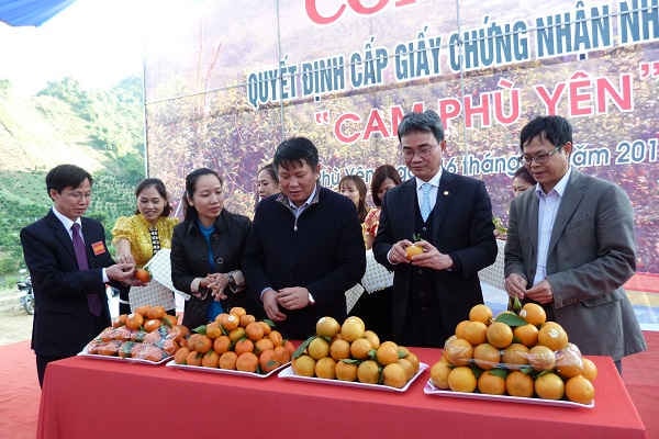Sơn La sẵn sàng cho Ngày hội cam và Ngày hội VH-TT các dân tộc huyện Phù Yên 2018