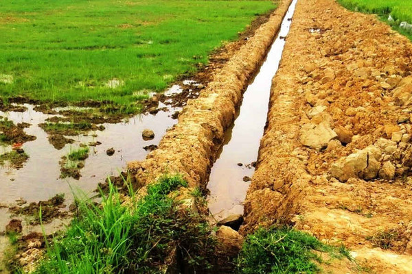 Quảng Nam: Không kết hợp khai thác và tận thu khoáng sản trong quá trình cải tạo, chỉnh trang đồng ruộng
