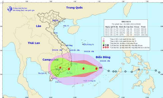 Bão số 9: cảnh báo có mưa to đến rất to từ Thừa Thiên Huế đến Bình Thuận và Nam Tây Nguyên