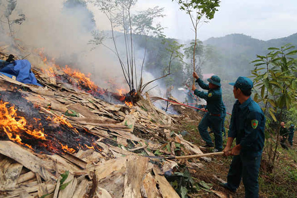 Lào Cai: Diễn tập phòng chống cháy rừng và tìm kiếm cứu nạn