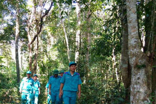 Điện Biên: Bảo vệ và phòng cháy, chữa cháy rừng trong mùa khô