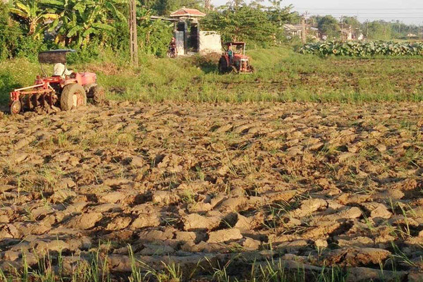 Thừa Thiên Huế: “Khát” nước sản xuất giữa mùa mưa, dân lo lắng