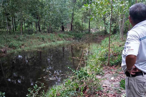 Vụ đất rừng “biến” thành đất của cán bộ tại Thừa Thiên Huế: Ủy ban Kiểm tra Tỉnh ủy vào cuộc