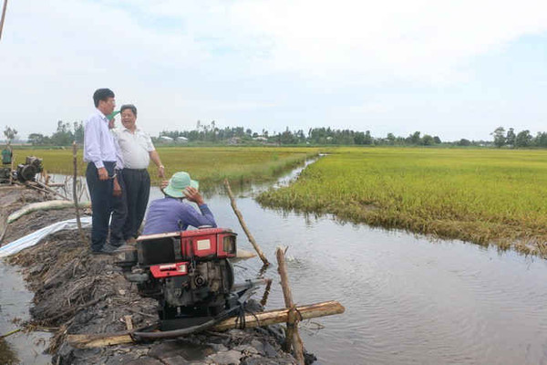 Quản lý bền vững đất đai Đồng bằng Sông Cửu Long