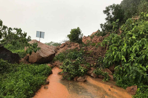 Đà Nẵng: Mưa lớn gây sạt lở nghiêm trọng tại núi Sơn Trà