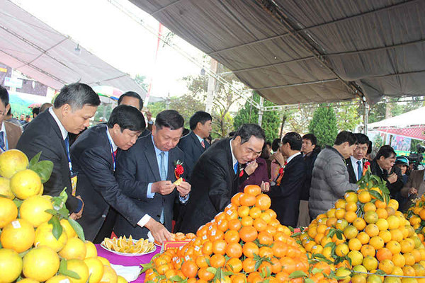 Hòa Bình: khai mạc Lễ hội cây ăn quả có múi và Hội chợ nông nghiệp