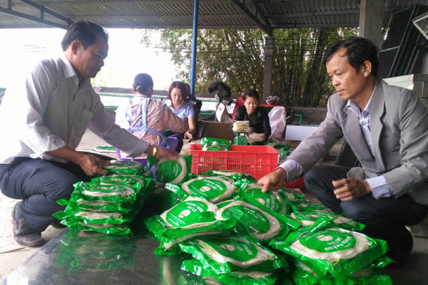 Liên Minh HTX Việt Nam: Xúc tiến xây dựng các mô hình HTX Nông nghiệp theo chuỗi