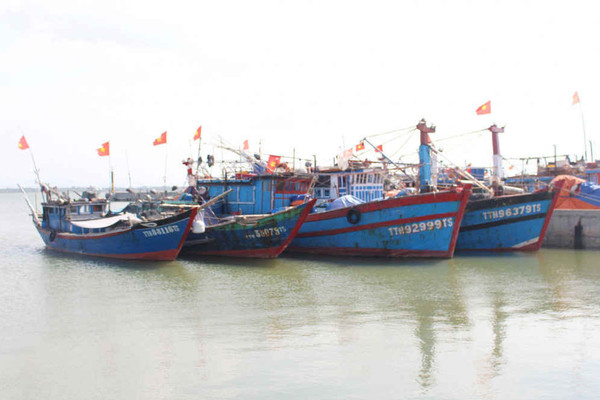 Thừa Thiên Huế: Hơn 14 tỷ đồng hỗ trợ tàu cá hoạt động thủy sản trên vùng biển xa