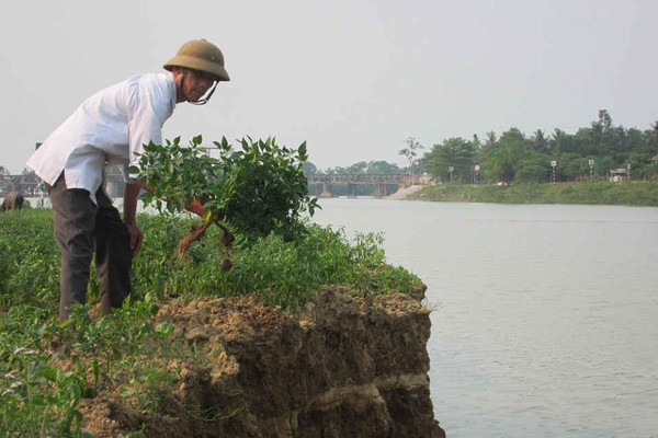 Quảng Ngãi: 18 tỷ đồng đầu tư kè chống sạt lở bờ sông Vệ