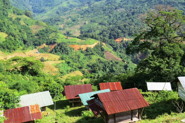 Quảng Nam: Thu hồi hơn 1.029 ha rừng thực hiện Dự án BCC