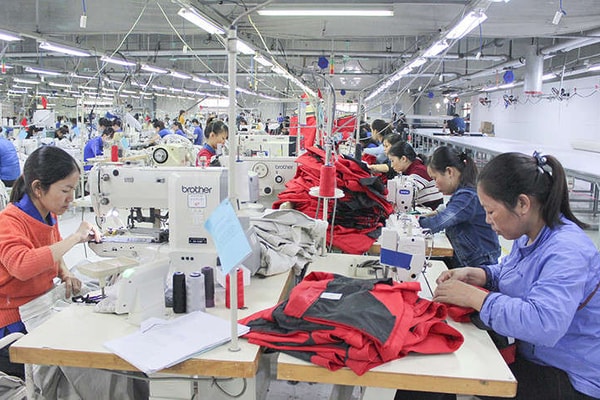 Quảng Trị: Mức thưởng Tết Nguyên đán Kỷ Hợi cao nhất là 66 triệu đồng