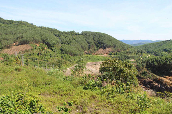 Thừa Thiên Huế: Tăng cường quản lý đất đai có nguồn gốc từ nông, lâm trường quốc doanh