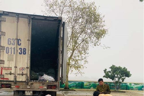 Thanh Hóa: Bắt giữ xe tải vận chuyển gần 1.000 kg chân trâu, bò không rõ nguồn gốc