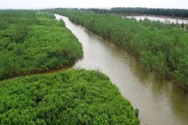 Thái Bình:    Thành lập Khu Bảo tồn đất ngập nước huyện Thái Thụy