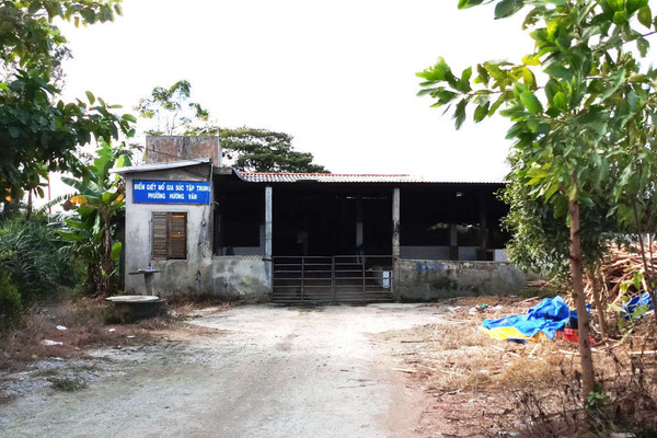 Thừa Thiên Huế: Lò giết mổ gia súc ô nhiễm, dân bức xúc