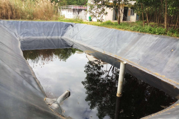 Hoài Nhơn (Bình Định): Nguy hại từ hiện tượng “rò rỉ” nước thải ra môi trường