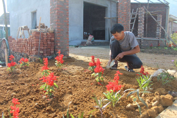 Kim Bôi (Hòa Bình): Sắc xuân trên khu tái định cư Hạ Bì