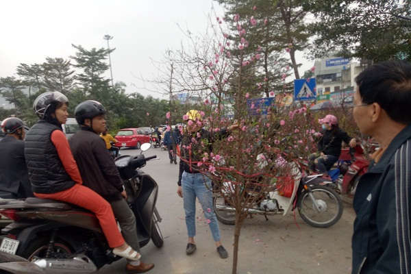 Hà Nội: Chợ hoa Tết nhộn nhịp những ngày cuối năm