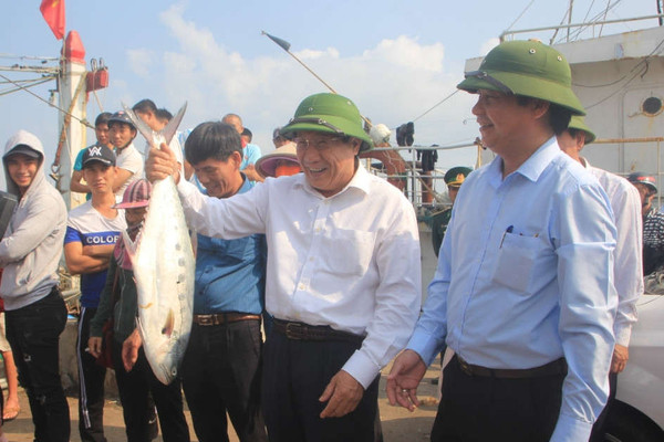 Quảng Trị: Ngư dân trúng đậm mẻ cá khủng đầu năm hơn 8 tỷ đồng