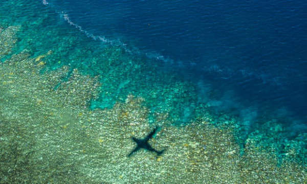 Rạn san hô Great Barrier có nguy cơ bị tẩy trắng do nước lũ ở Queensland